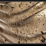 Vrhunske Prestižne Srebrne Stenske Obloge