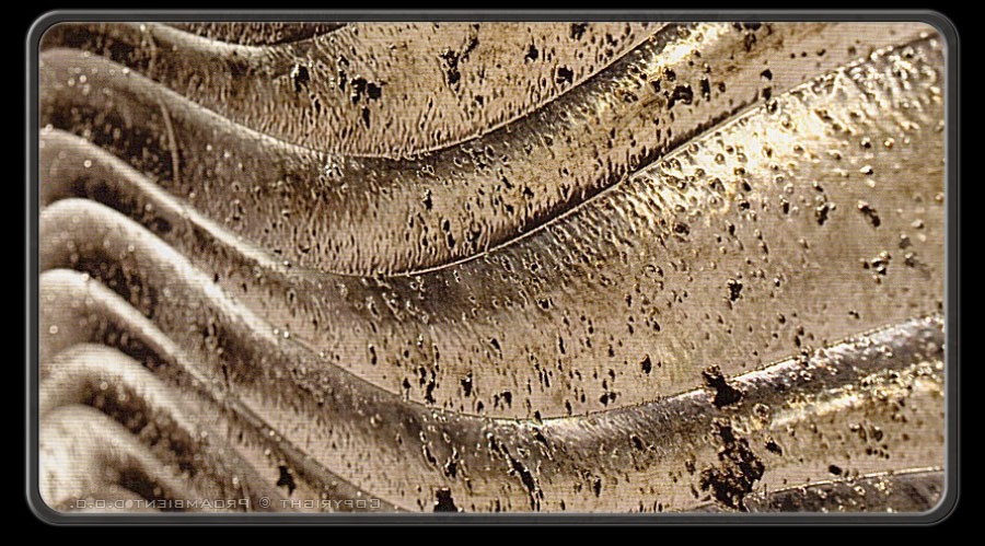 Vrhunske Prestižne Srebrne Stenske Obloge