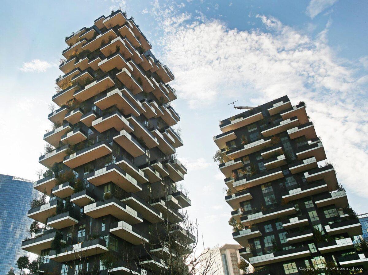 8654 N 595 N Cde Bosco Verticale Main